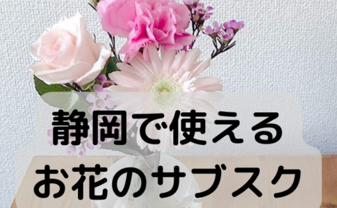 shizuoka