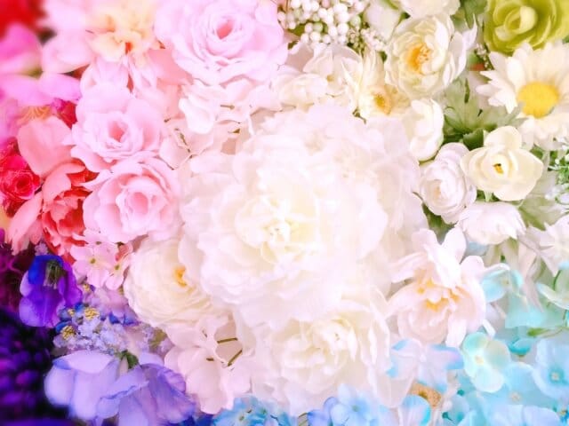 カラフルな花