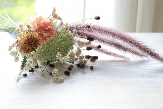 ふさふさの花