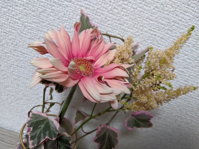 ドライフラワー