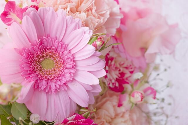 ピンクの花