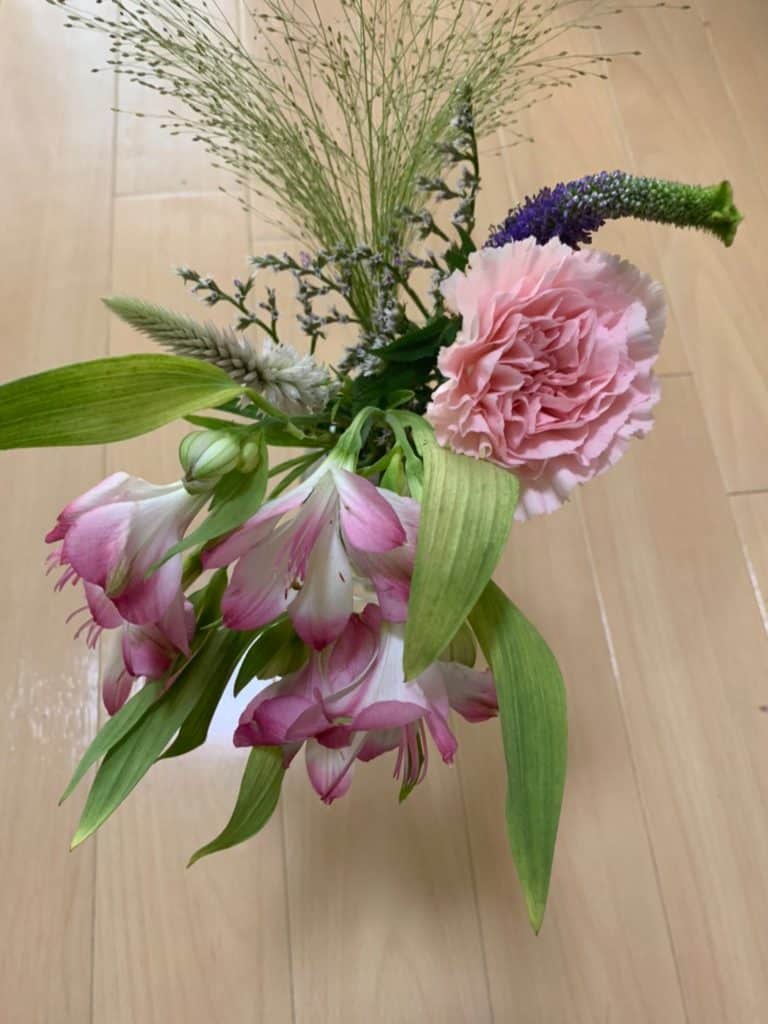 メデルのお花