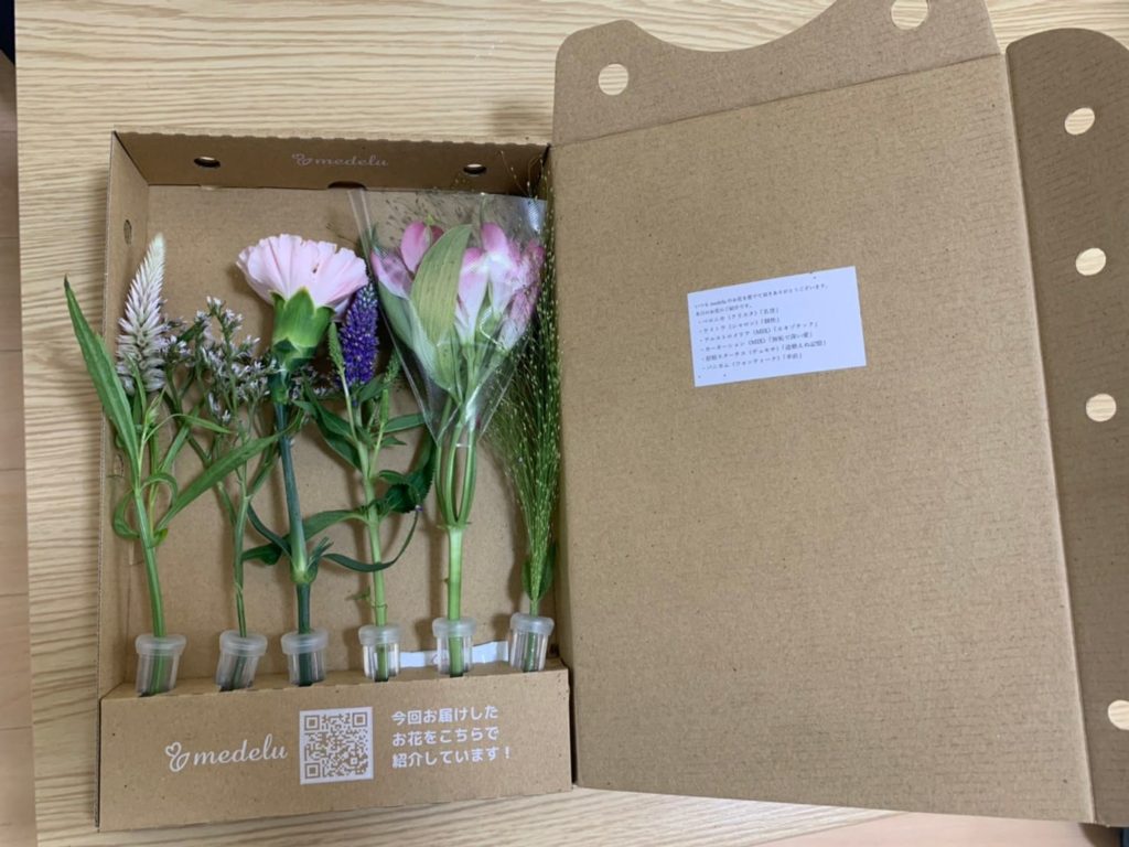 メデルのお花