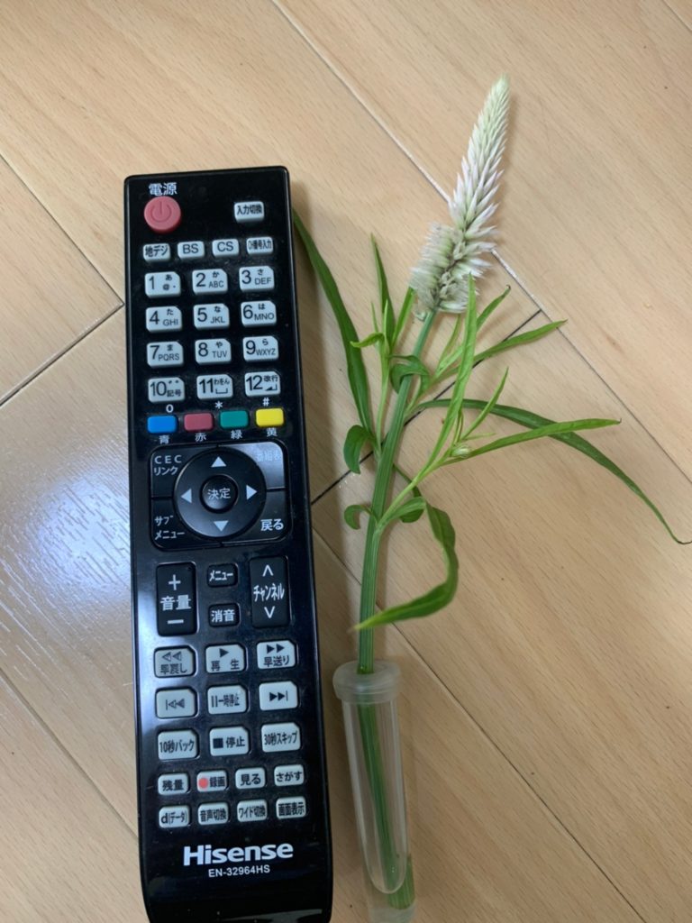 メデルのお花の長さ