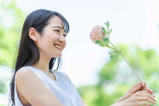 魔法の花瓶のプランや値段