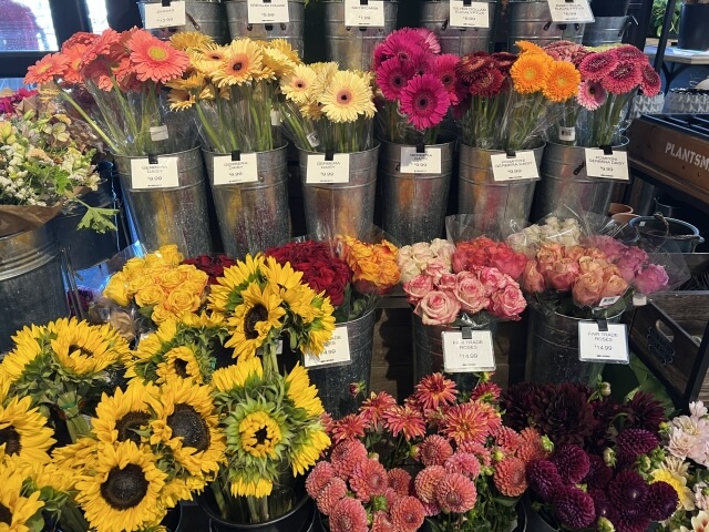 魔法の花瓶についてよくある質問や疑問