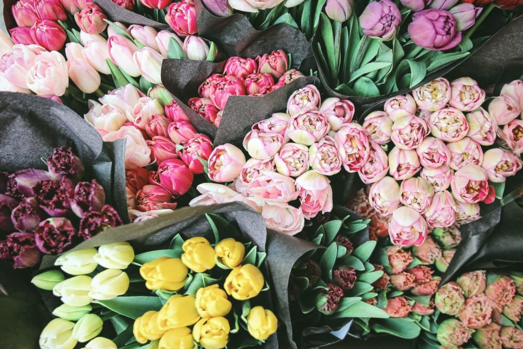 タハナのお花の定期便・サブスクはどんなサービス？