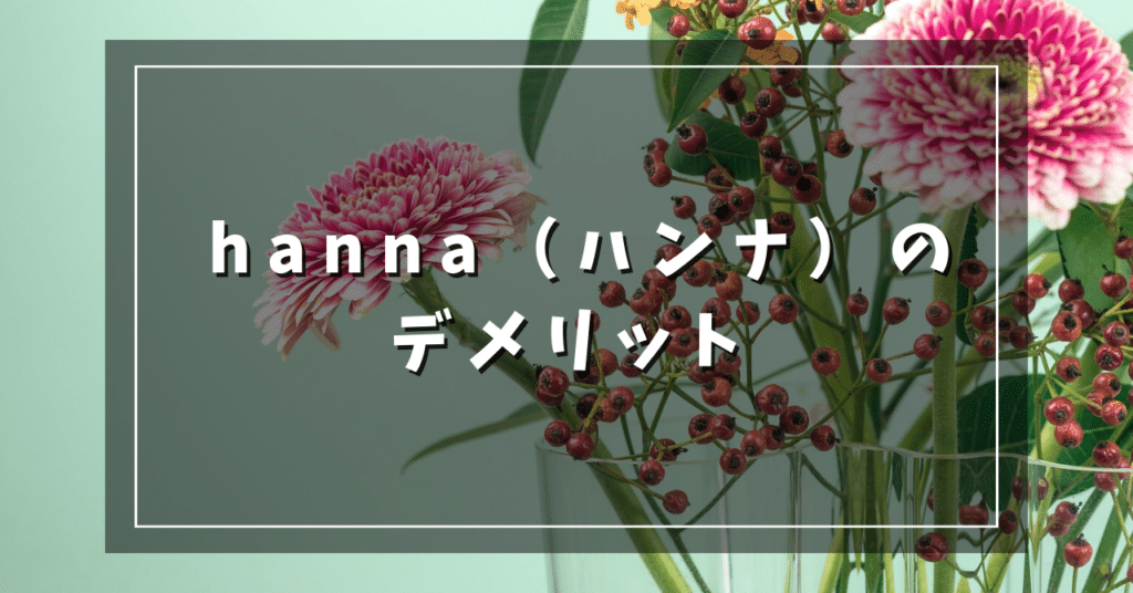 hanna（ハンナ）のデメリット