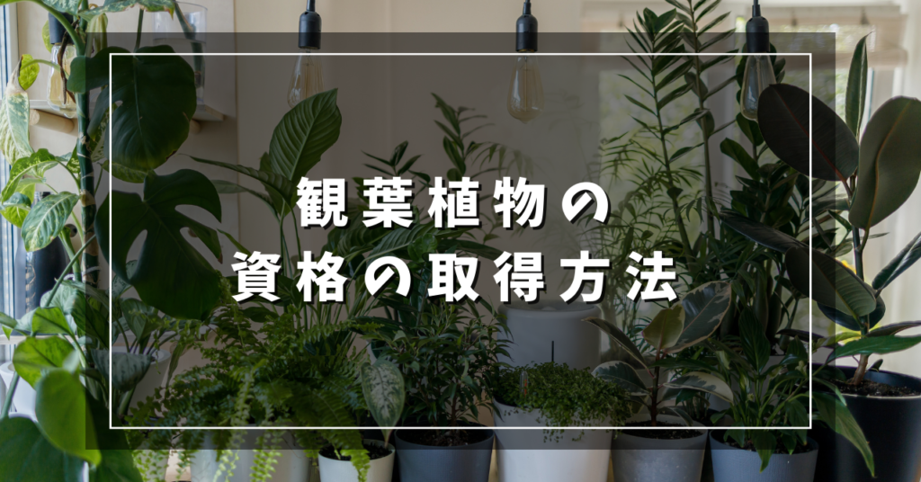 観葉植物の資格の取得方法
