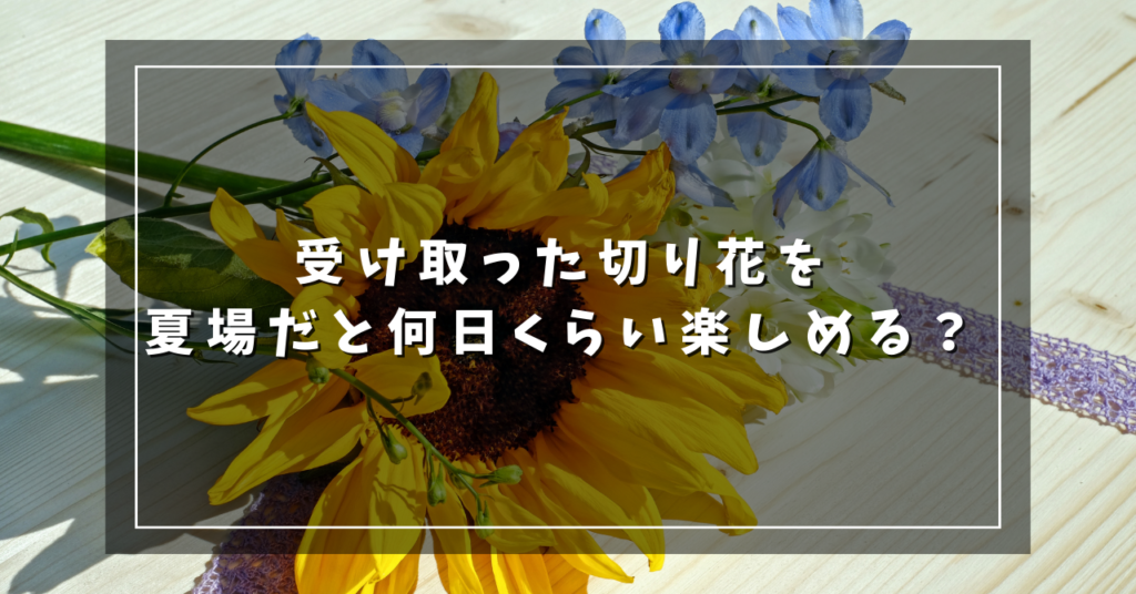 受け取った切り花を夏場だと何日くらい楽しめる？