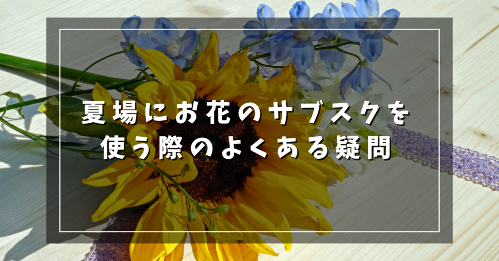 夏場にお花のサブスクを使う際のよくある疑問