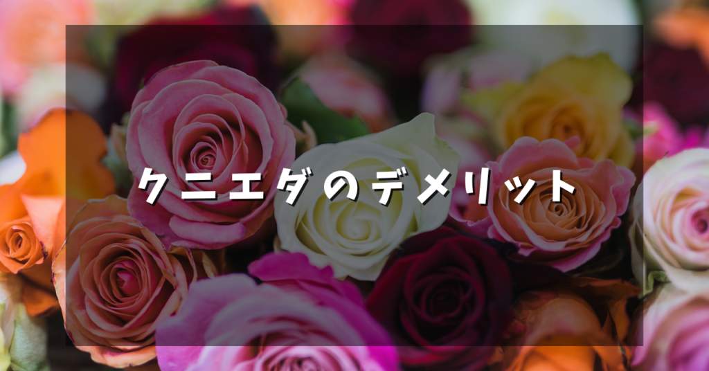 クニエダのデメリット