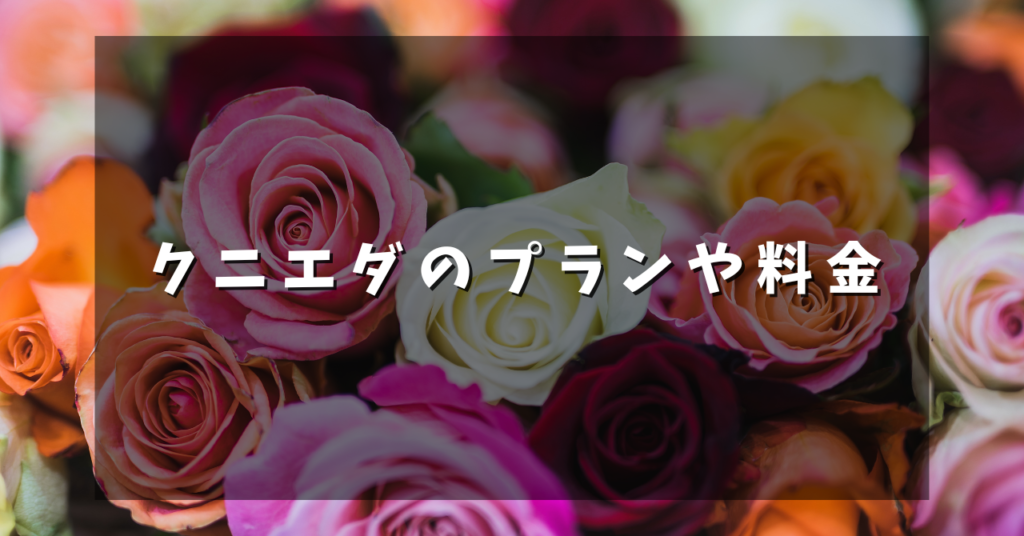 クニエダのプランや料金