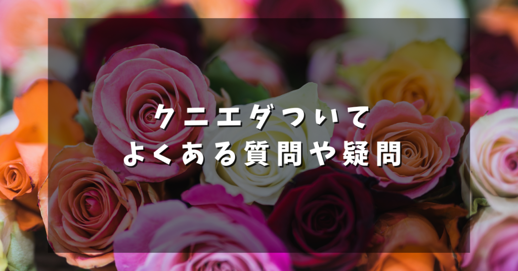 クニエダついてよくある質問や疑問