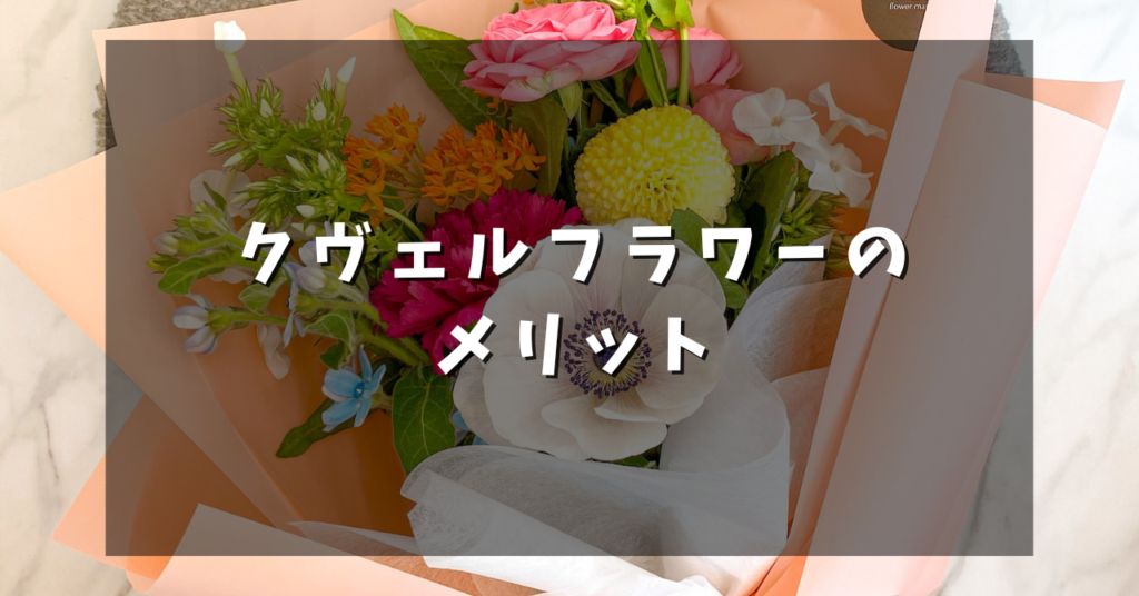 クヴェルフラワーのメリット