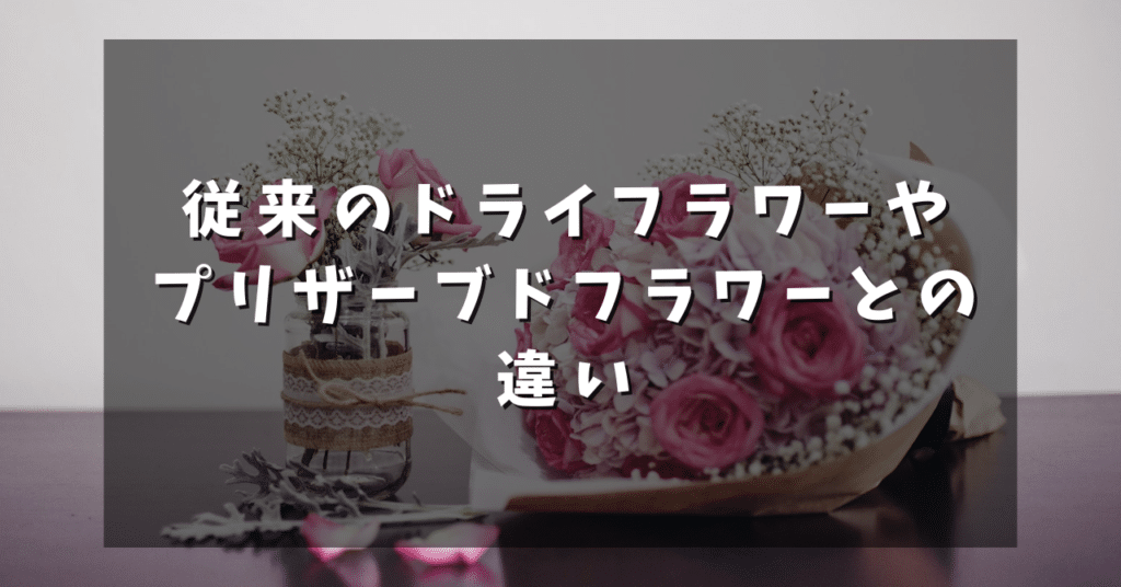 従来のドライフラワーやプリザーブドフラワーとの違い