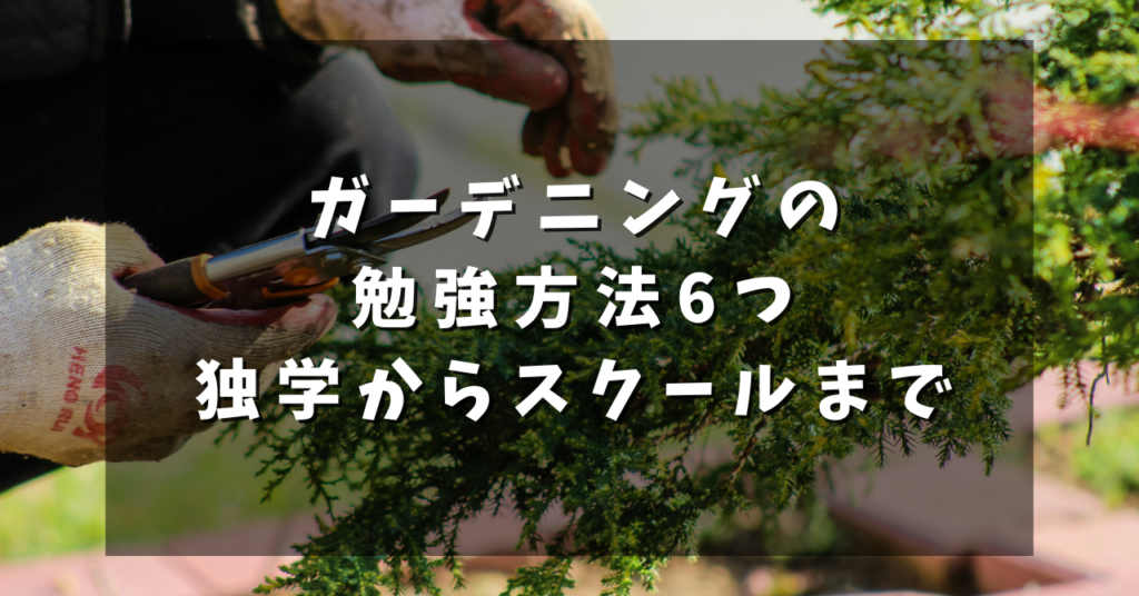 ガーデニングの勉強方法6つ｜独学からスクールまで