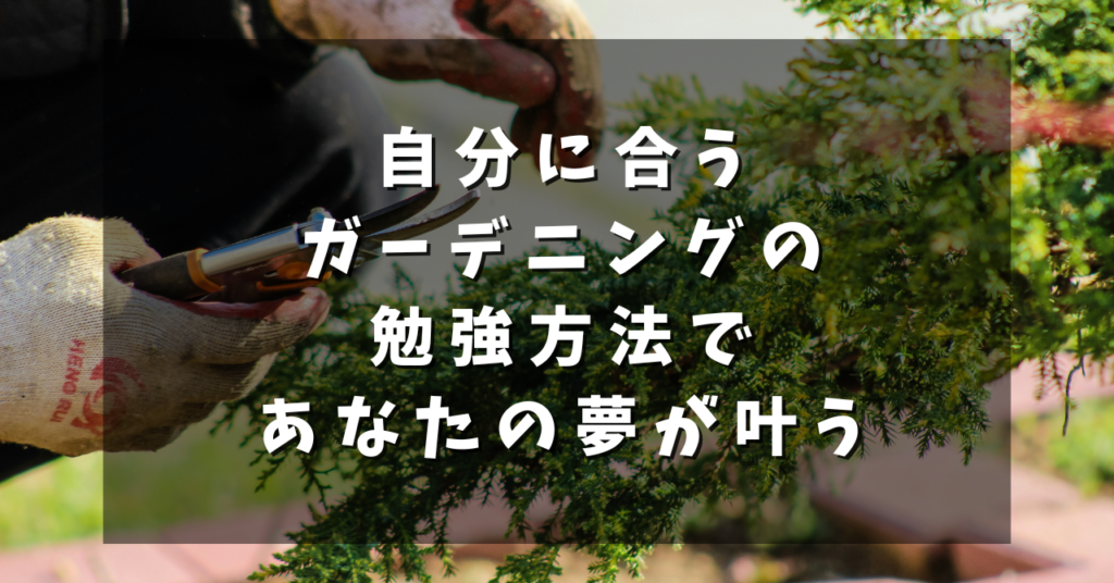 自分に合うガーデニングの勉強方法で、あなたの夢が叶う